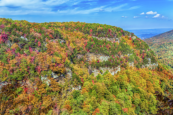 John M Bailey - Colorful Cloudland Canyon in the Fall
