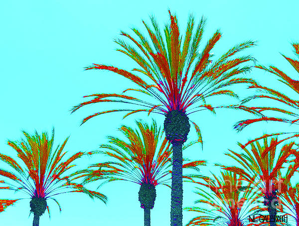 NL Galbraith - Colorful Date Palms in aqua