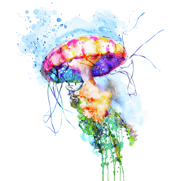 Marian Voicu - Colorful Watercolor Jellyfish