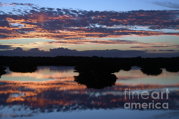 Brenda Harle - Colorful Mangrove Sunrise