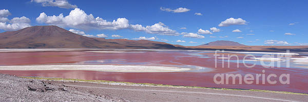 Imladris Images - Colorful Red Lake, Laguna Colorada, Bolivia