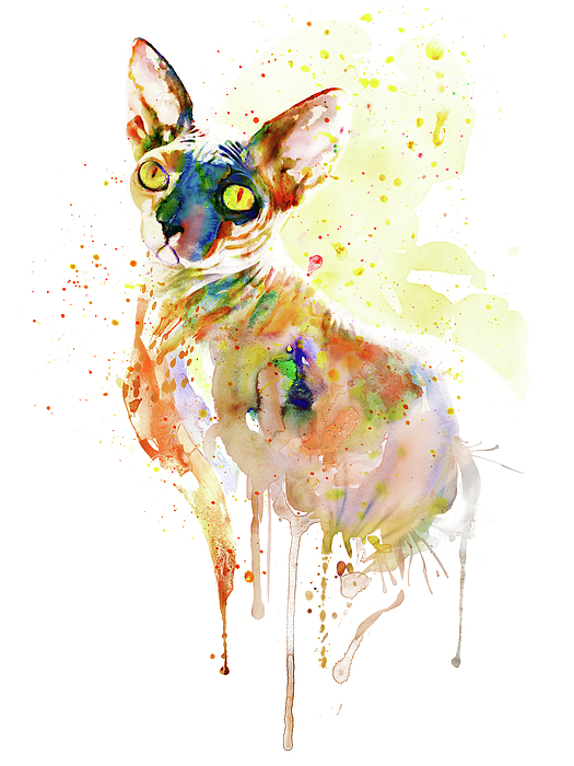 Marian Voicu - Colorful Sphynx Cat