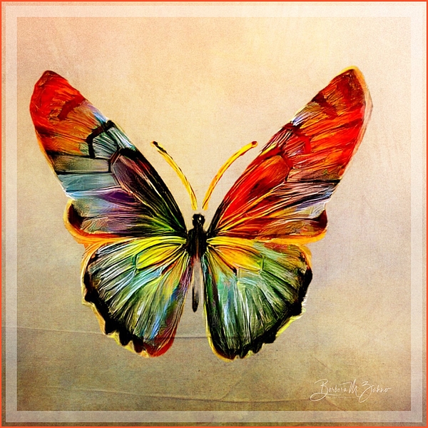 Barbara Zahno - Colorful Wings