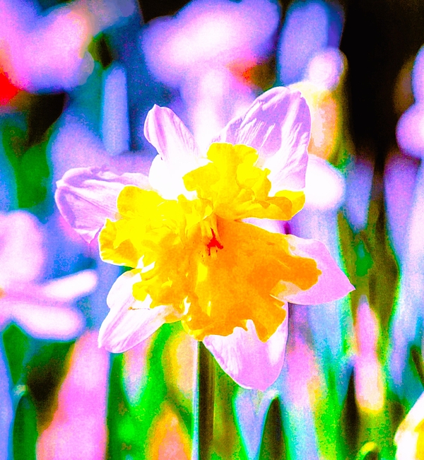 Elizabeth Pennington - Colors of Spring