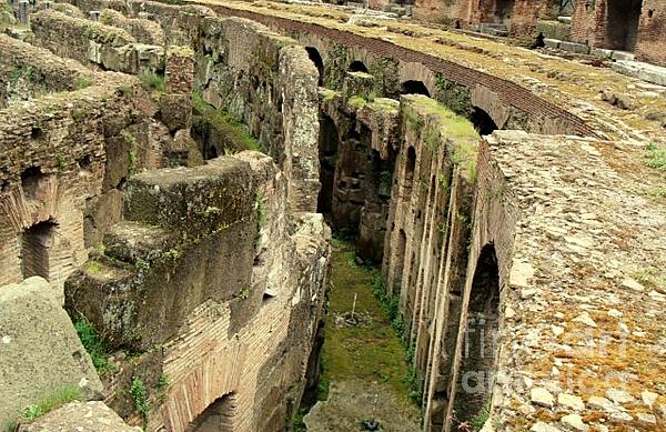 Charlene Adler - Colosseum Walls