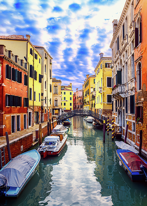 Venice Art