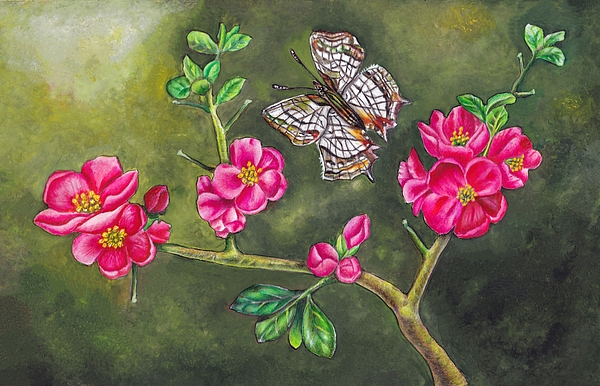 Tara Krishna - Common Map butterfly and quince blossoms