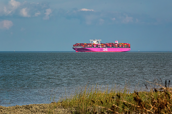 John Kirkland - Container Ship - Pink - Tybee Island GA - 1