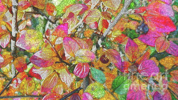 Paul Boizot - Cotoneaster Autumn colours, stained glass effect