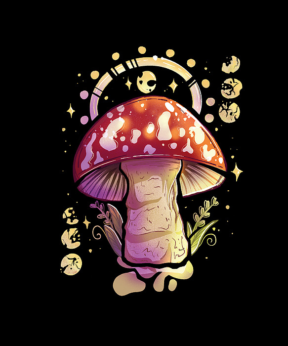 Trippy mushroom background HD wallpapers | Pxfuel
