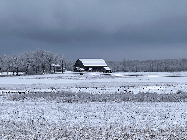 North Country Art