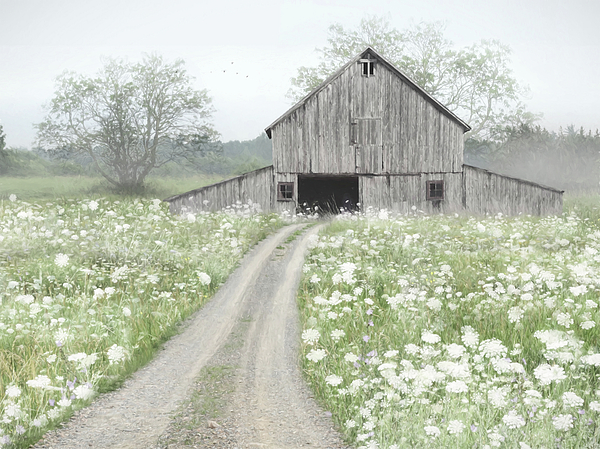 Lori Deiter - Country Lane with Wildflowers