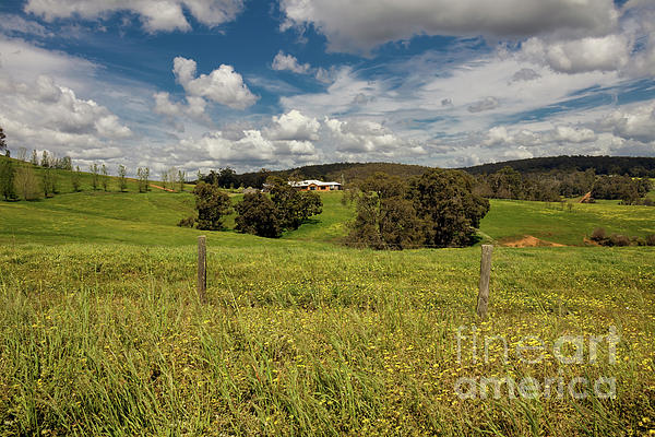 Springtime on the Mt. Melville Circuit Trail, Albany, Western