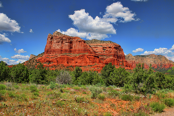 Ola Allen - Courthouse Butte