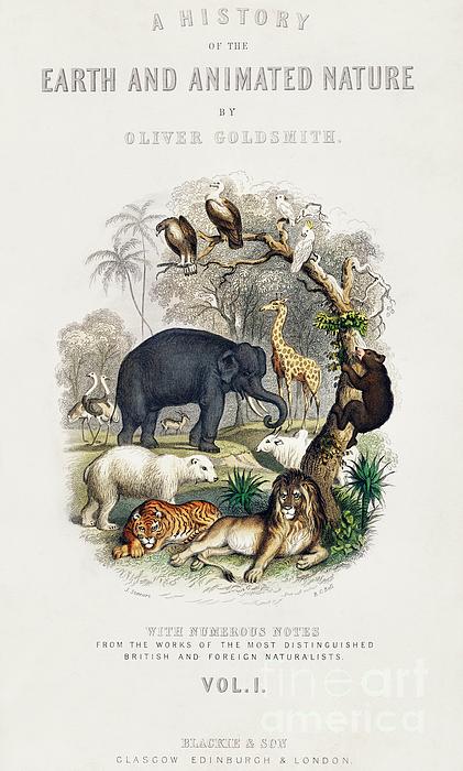 Cover of A history of the earth and animated nature 1820 by Oliver