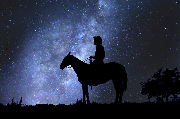 Stephen Tulcus - Cowboy, Horse And  Night Galaxy 