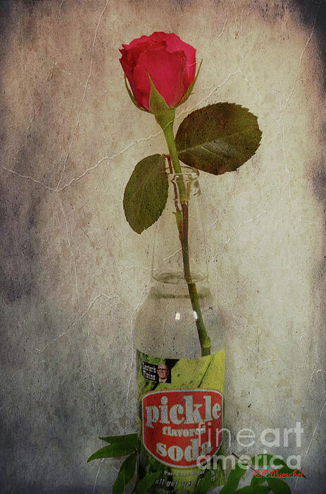 Debby Pueschel - Craving Pickle Rose