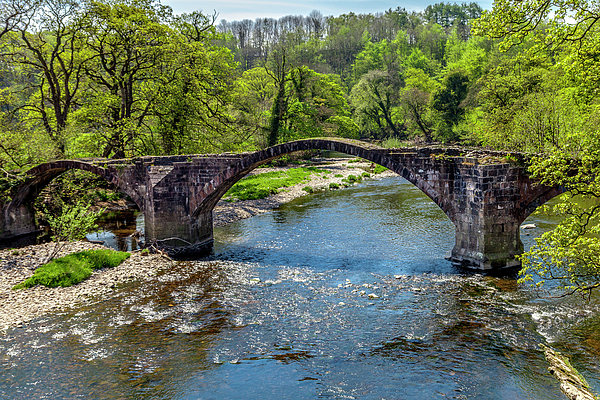 Bridge Art