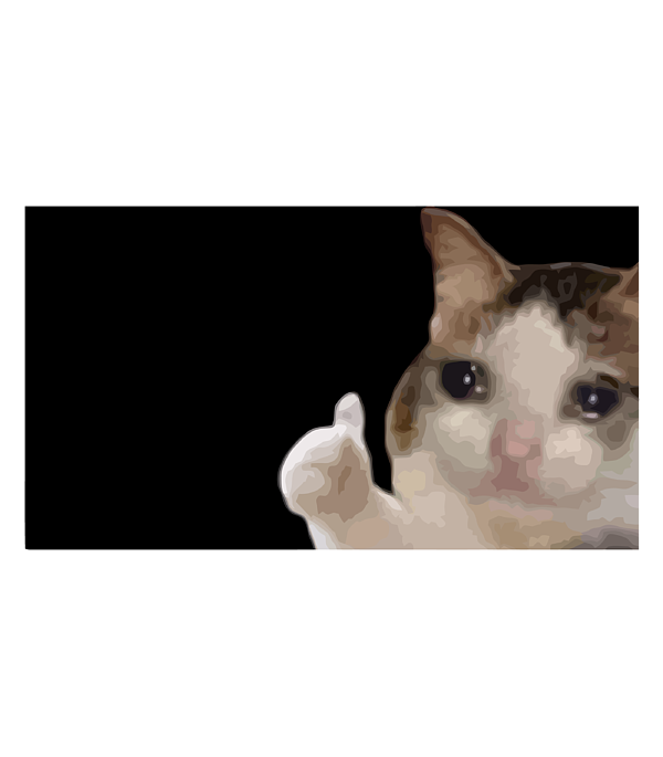 Thumbs Up Sad Cat Meme OK Cat 3 Sticker