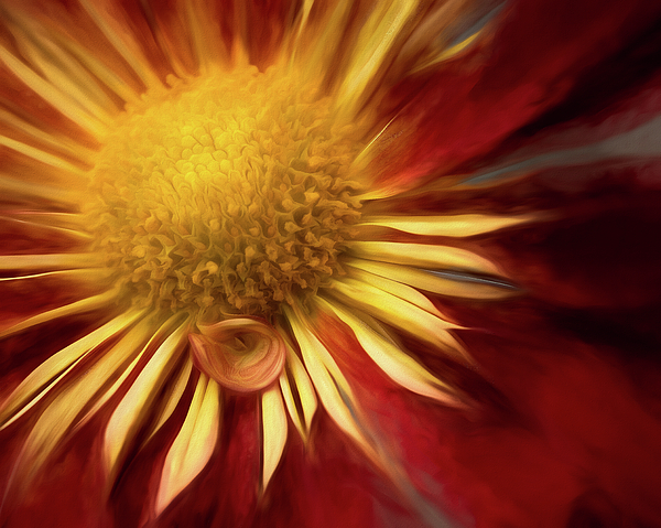 Abstract Photographs