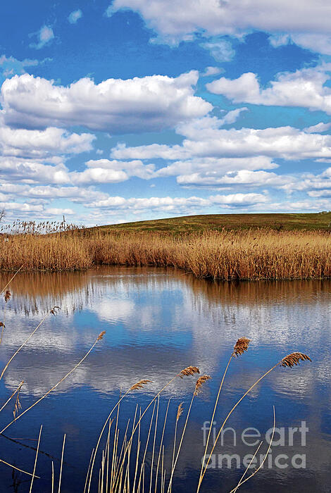 Regina Geoghan - Cusp of Spring - Marsh Reflections