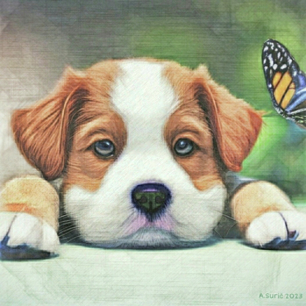 Antonia Surich - Cute Puppy Portrait 