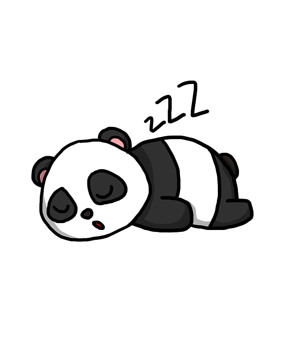 Cute Sleeping Panda Gift Idea T-Shirt for Sale by J M