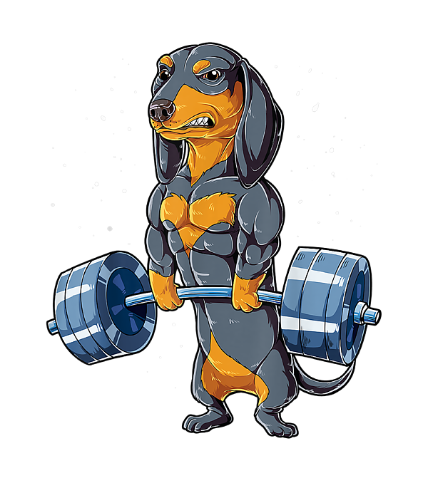 https://images.fineartamerica.com/images/artworkimages/medium/3/dachshund-weightlifting-funny-deadlift-men-fitness-gym-argyle-jersey-transparent.png