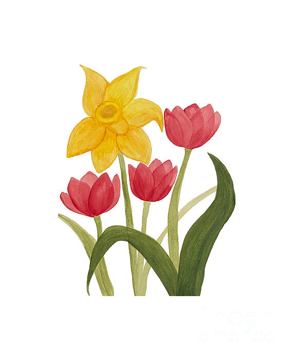 Lisa Neuman - Daffodil and Three Tulips