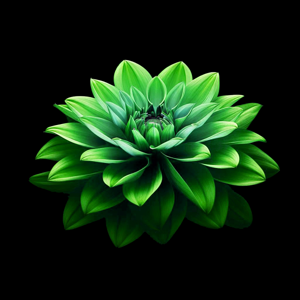 Ronald Mills - Dahlia - Green with Envy
