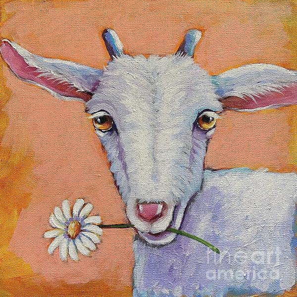 Lucia Stewart - Daisy the goat
