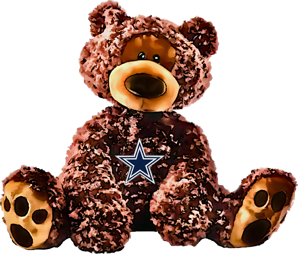 Dallas Cowboys Bear Gift Set