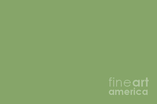 https://images.fineartamerica.com/images/artworkimages/medium/3/dark-meadow-green-solid-color-pairs-to-sherwin-williams-pickle-sw-6725-melissa-fague.jpg