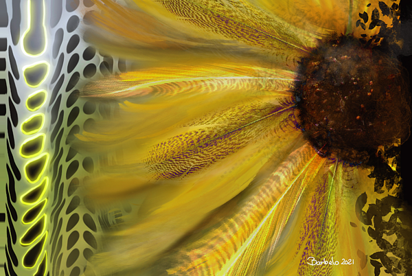 Abstract Art