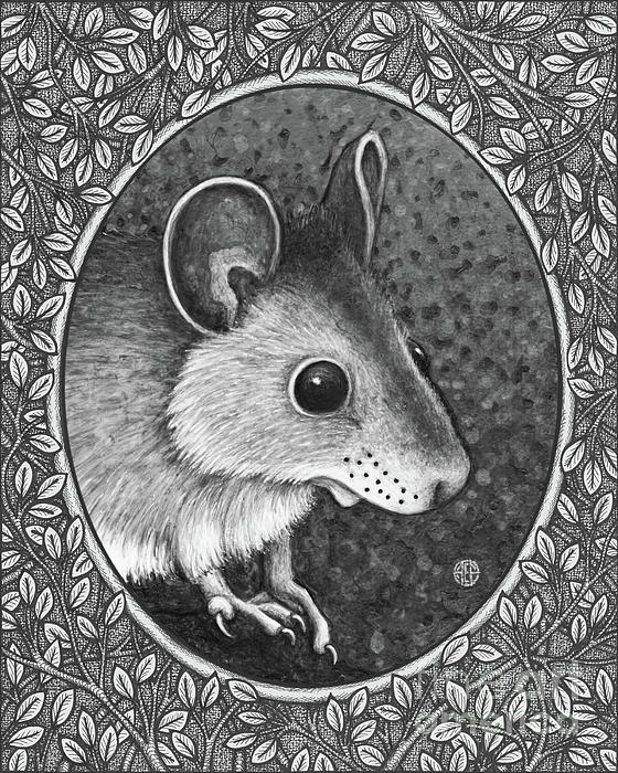deer mouse drawing