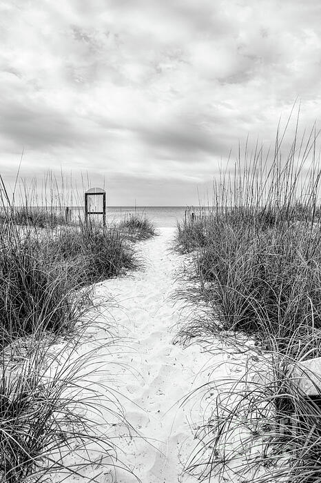 Jennifer White - Destin White Sand Path To The Beach Grayscale