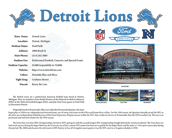 Ford Field Detroit Lions Digital Printable Poster NFL 