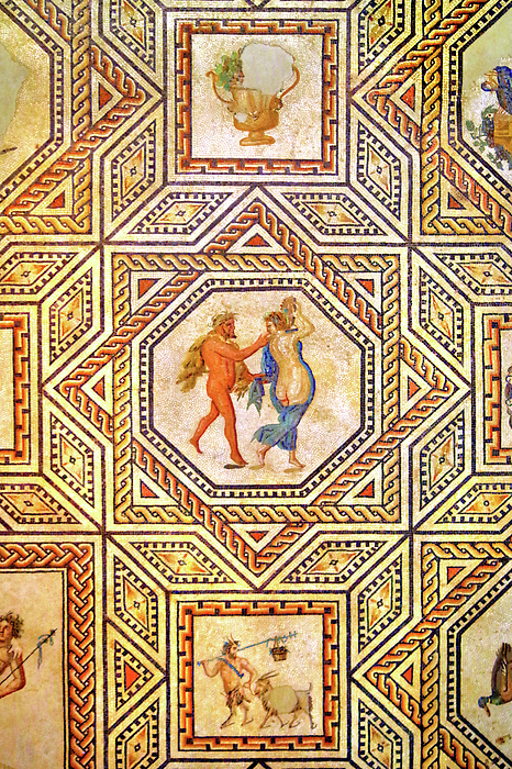 Douglas Taylor - Dionysus Mosaic Detail 1, Cologne