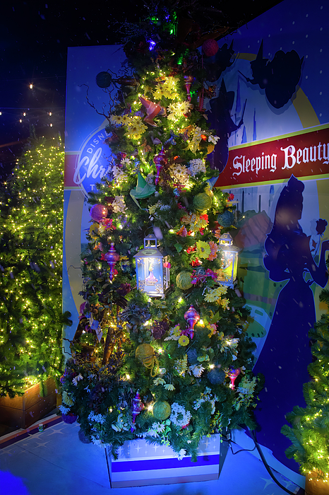 https://images.fineartamerica.com/images/artworkimages/medium/3/disney-springs-christmas-tree-trail-sleeping-beauty-mark-andrew-thomas.jpg