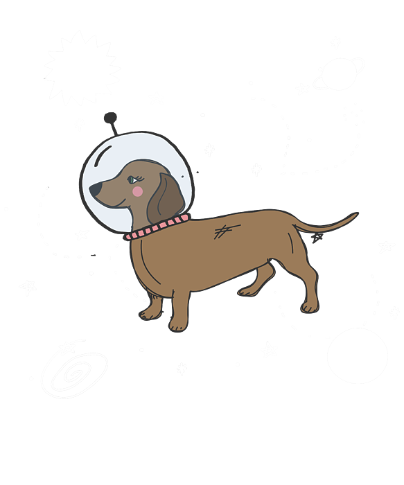 tumblr dogs in space