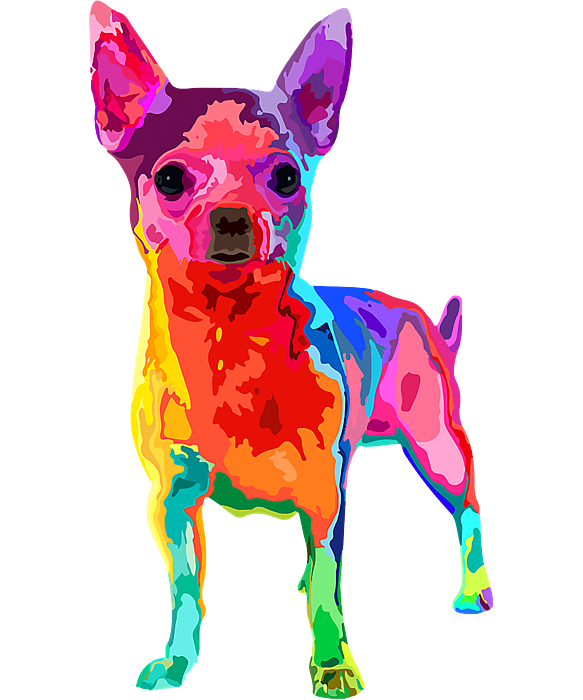 The Chihuahua ( dog breed ) - online puzzle