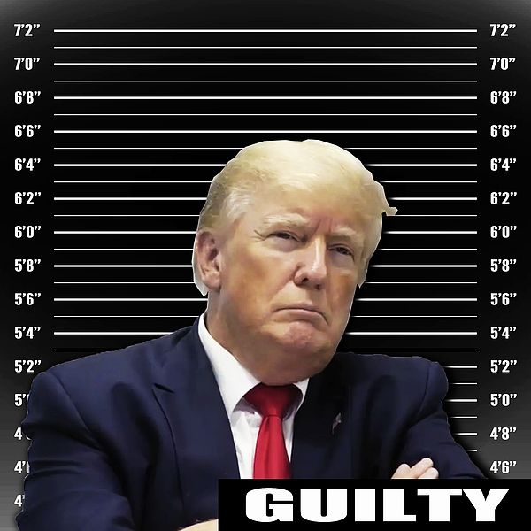 Guilty Photographs