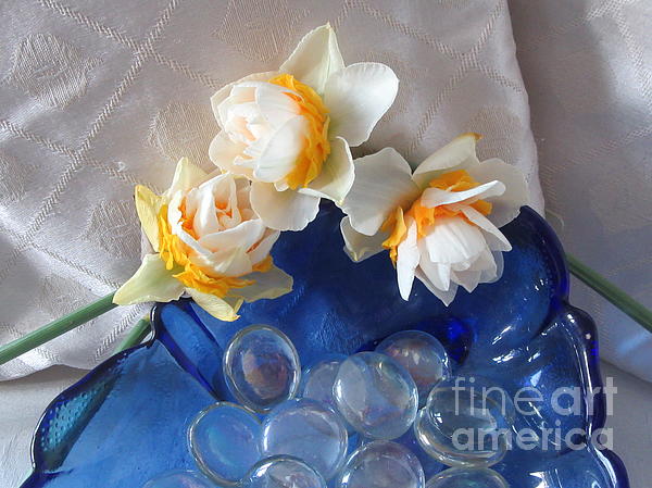 Lesley Evered - Double Daffodils On A Glass Shell