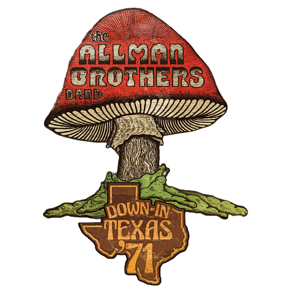 最安値国産Allman Brothers Band / Down In Texas \'71 洋楽