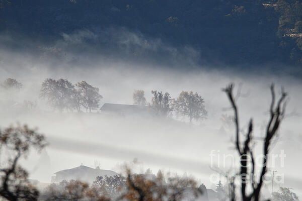 Thurston Conger - Dreamy Mist of Mountain Winter Fog 