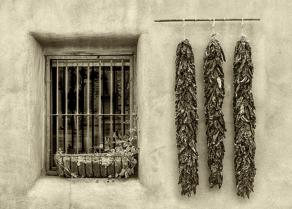 Jerry Fornarotto - Dried Chilies and Window