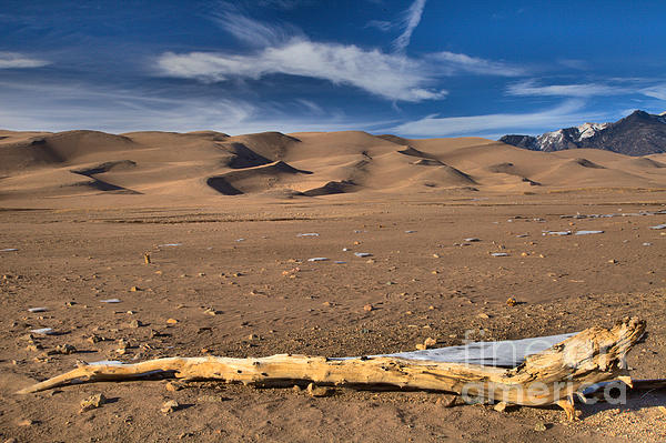 https://images.fineartamerica.com/images/artworkimages/medium/3/driftwood-below-the-great-dunes-adam-jewell.jpg