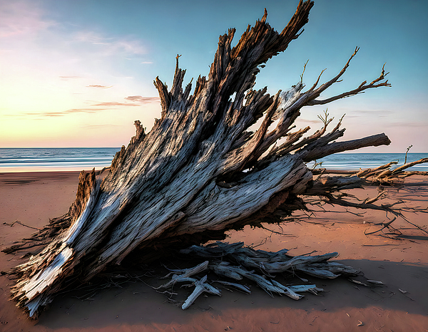 Nature Art