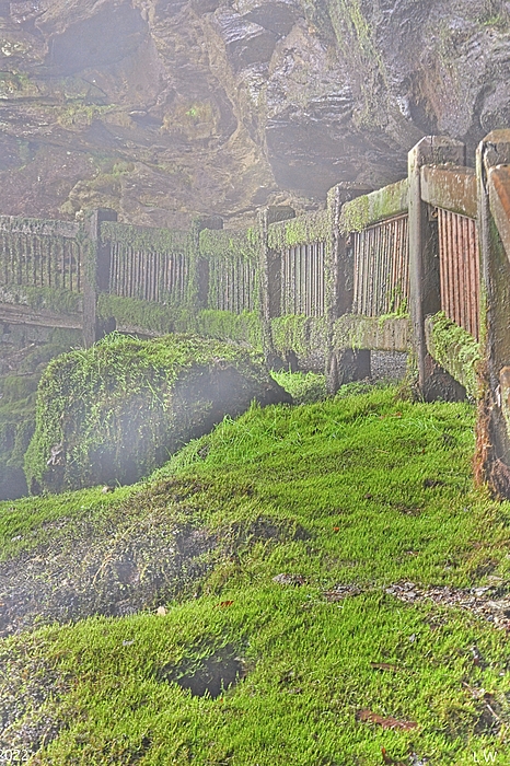 Lisa Wooten - Dry Falls Misty Moss And Fence 