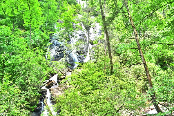 Lisa Wooten - Dukes Creek Falls